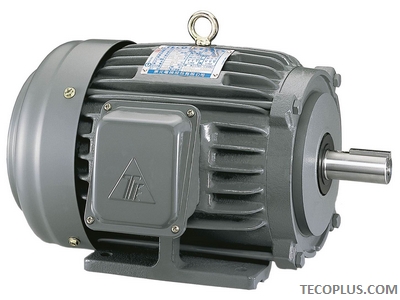 TECO Low Voltage Motor